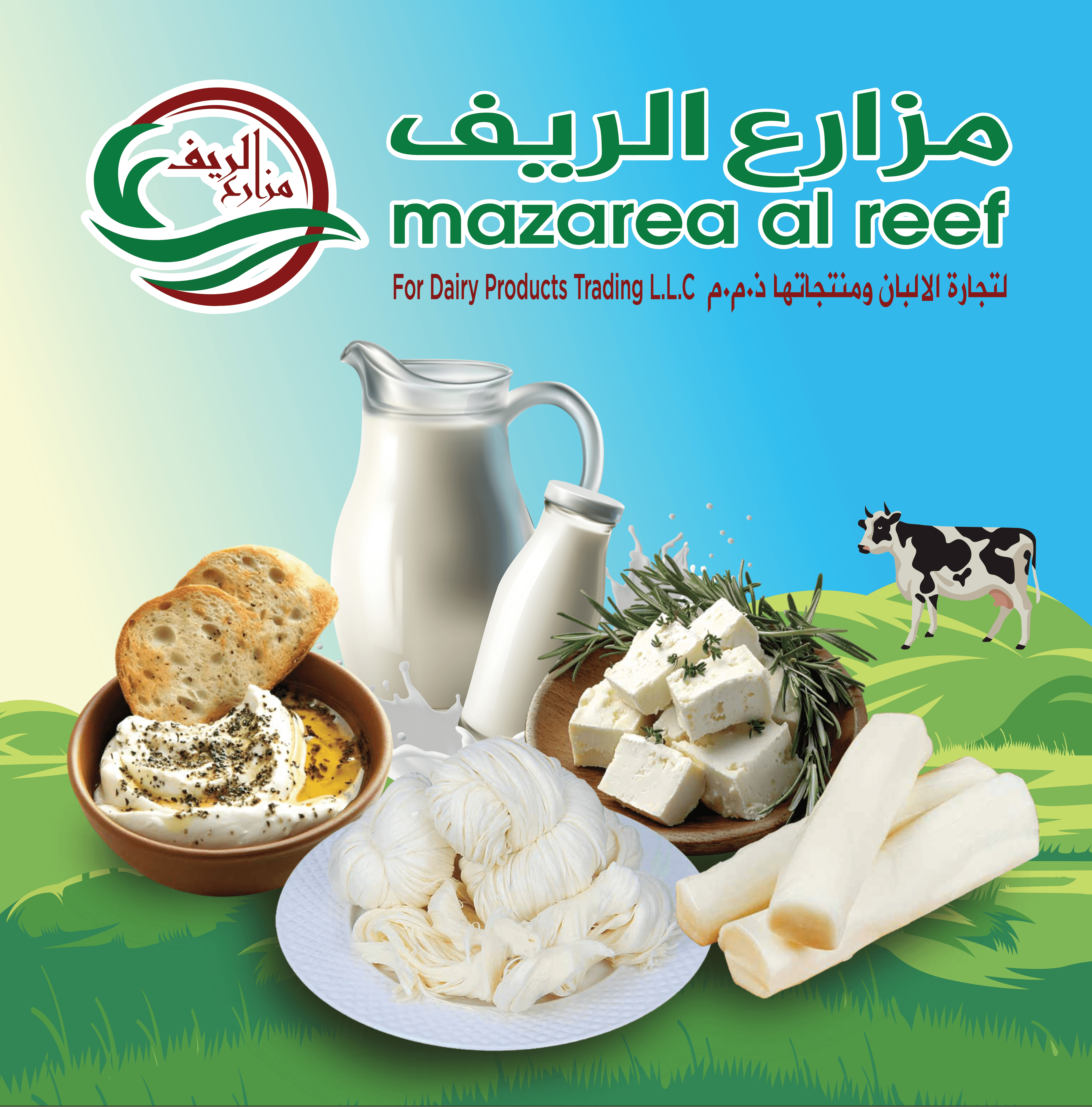 نبذة عن الشركة
